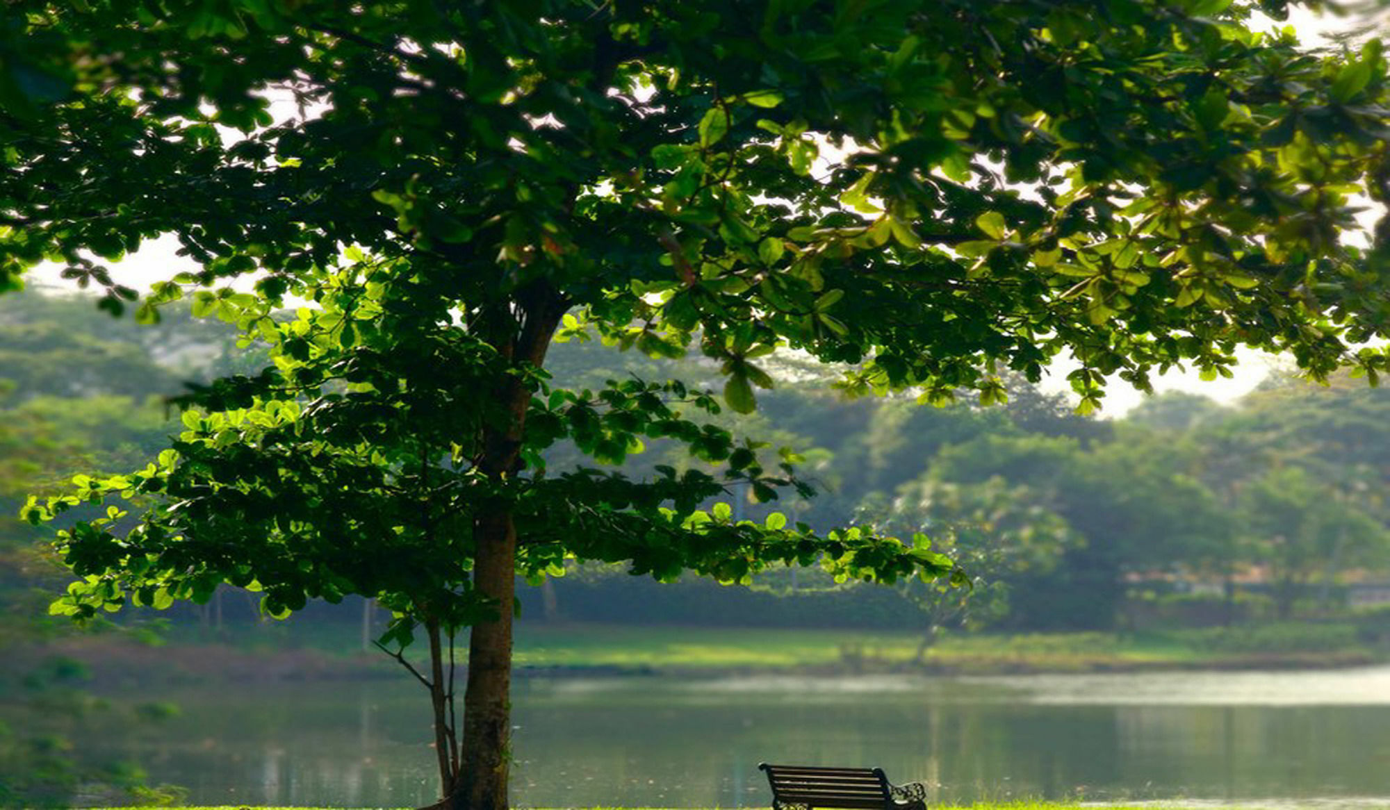 Отель The Saujana Kuala Lumpur Шах-Алам Экстерьер фото A view of the lake